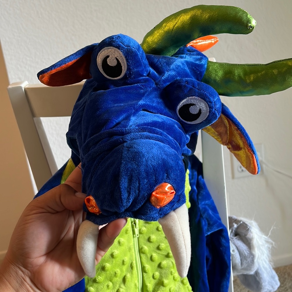 Absolutely stunning dragon costume from Dream Play Imagine size 5T